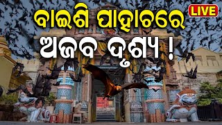 Ratna Bhandar News Live: ରତ୍ନ ଭଣ୍ଡାରରୁ ବାହାରୁଛି ଅଜବ ଜନ୍ତୁ | Srimandir Ratna Bhandar News | Odia News