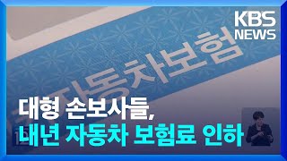 대형 손보사들, 내년 자동차 보험료 2.5% 안팎 인하 / KBS  2023.12.20.