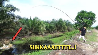 Rugi kalau ke tinggalan mancing spot ini || getek Gabus