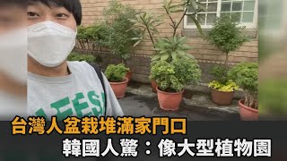 台灣特色？盆栽堆滿家門、陽台也不放過　韓國人驚：像大型植物園－民視新聞