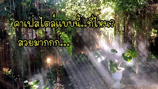 คาเฟ่แนวธรรมชาติอยู่ใจกลางเมืองสำหรับคนรักธรรมชาติ รักต้นไม้ต้องไม่พลาด