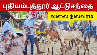 புதியம்புத்தூர் ஆட்டுசந்தை ஒரிஜினல் கொடி ஆடு விலை நிலவரம் #goatmarket