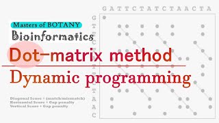 Bioinformatics| Dot Matrix Method and Dynamic Programming | Sequence Alignment