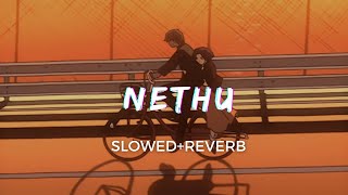 Nethu [Slowed+Reverb] - Dhanush | Taal