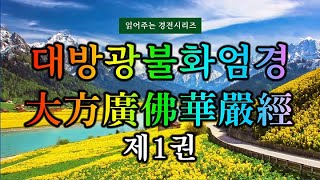 (#읽어주는 경전시리즈) 대방광불화엄경(大方廣佛華嚴經) 제1권 보리도량에서 정각 이루심을 찬탄하다