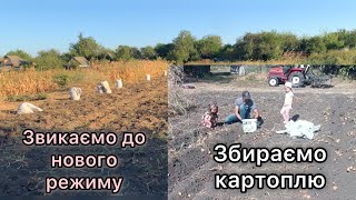 Наші будні у селі|| збираємо картоплю