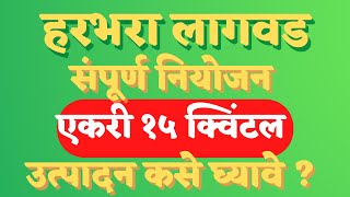 कोरडवाहू हरभरा पूर्व नियोजन 2022 | हरभरा लागवड | Harbhara lagvad #हरभरा #हरभरा_पीक #अर्थशेती