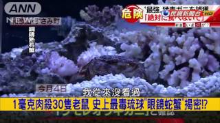 2016.11.18【挑戰新聞】 大鈔突然變廢紙！印度銀行前大排長龍換新鈔！