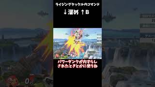 スマブラ　テリー解説　弱#スマブラsp#スマブラ#テリー#ゆっくり