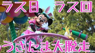 【4K動画】ラス日 ラス回　2017年うさたま大脱走ミニーポジ　キャラクターメイン