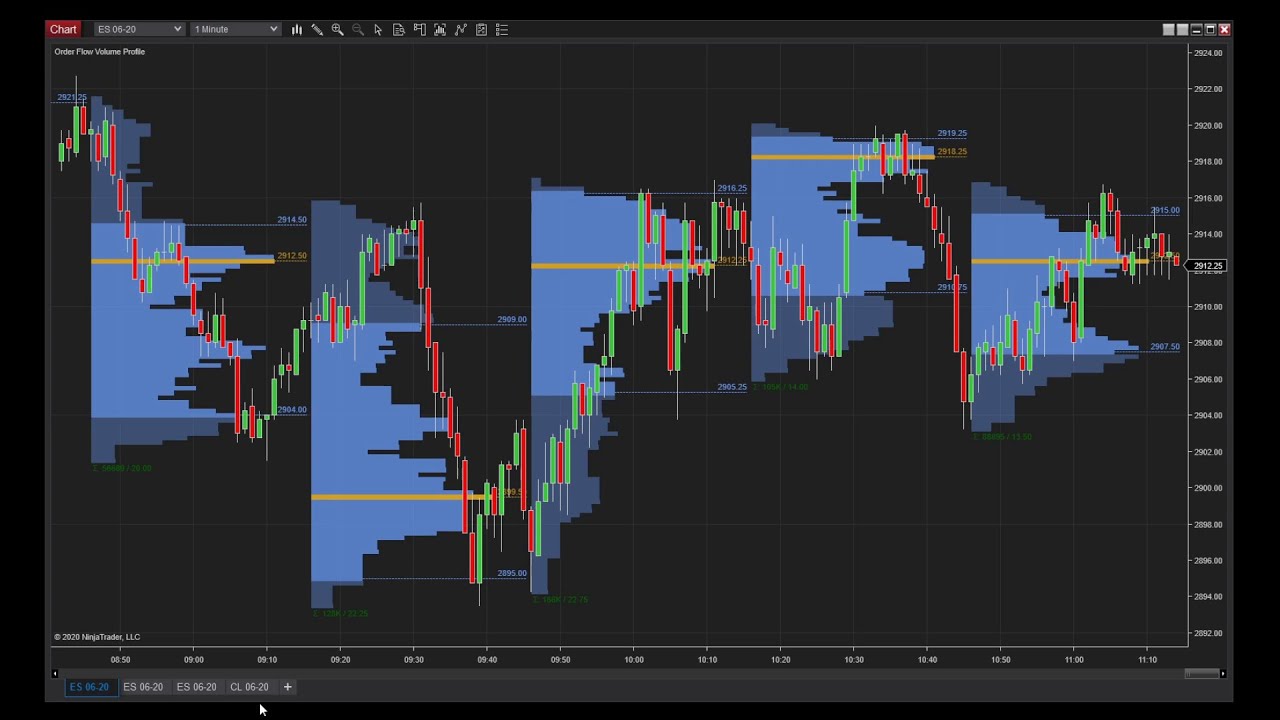 Video Guía Manual Ninjatrader