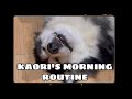 KAORI'S MORNING ROUTINE (KAORI NGERTI CARA BARTER)