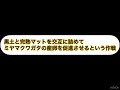 ミヤマクワガタ① 産卵セット　割出し作業　2021年10月31日