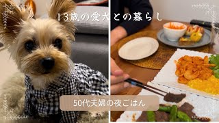 【ヨーキー】50代夫婦と犬との暮らし　長生きしてね