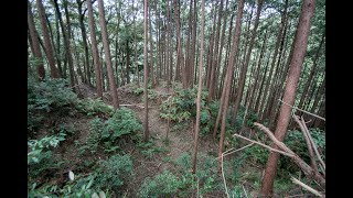 Mariko Castle (Shizuoka) / 丸子城 (静岡)