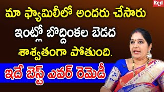 SRAVANTHI - ఇంట్లో బొద్దింకల బెడద శాశ్వతంగా పోతుంది. | Redtv Subham