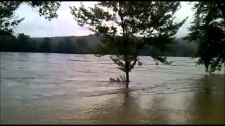 Hochwasser Juni  2013 Krems/D