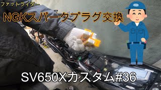 SV650X カスタム　36弾　NGKスパークプラグ交換