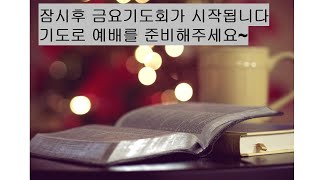 주님의 마음교회 금요기도회(22.09.16) V 클릭 찬양가사있음