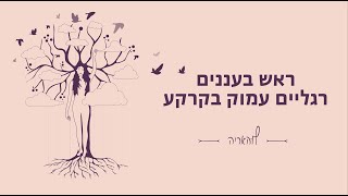 הפעלה: ראש בעננים רגליים עמוק בקרקע | לוהאריה