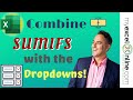 Combine Excel SUMIFS with Dropdowns - Excel Formulas Tutorial
