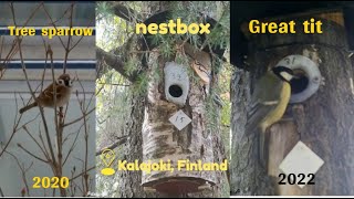 Nestbox no. 15 used in different years by #treesparrow 2020 and #greattit 2022