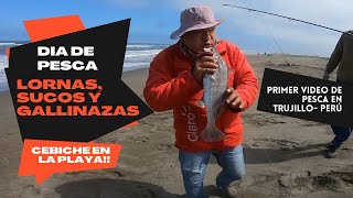 SALIDA DE PESCA, SALEN LORNAS, SUCOS Y GALLINAZAS! EN TRUJILLO - PERÚ