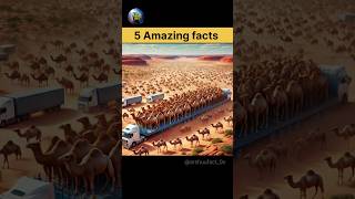 5 Amazing facts😱 #facts #factbeast #factmine #factstory #camel #knowledge #amazingfacts #shorts