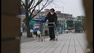 다리 불편한 할아버지 속도에 맞춰 느리게 걸으며 경호까지하는 효자견 갑돌이│펫 다큐 보통의 하루_갑돌이 1부