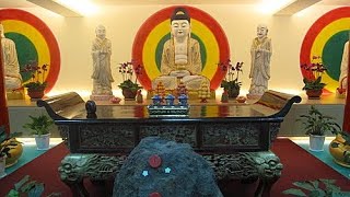 一聲佛號一聲心 《南無阿彌陀佛聖號》法身加持 Amitabha O-bí-tô-hu̍t A-di-đà พระอมิตาภพุทธะ 아미타불