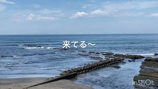 来たかも？？？　平砂浦波情報