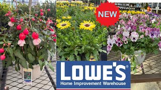 LOWES BEST NEW PLANTS ARRIVALS & CLEARANCE FOR SPRING | HOW TO MAKE YOUR GARDEN BEAUTIFUL?