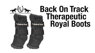 Review: Back On Track Therapeutic Quick Wraps Royal Boots