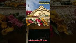 Belagondapalli vinayaka celebration 2019