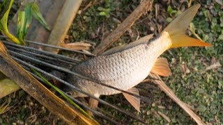 Old Traditional Village Fishing | Primitive Fishing Best Fishing Video | Fishing With Hook