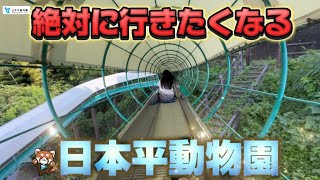 【最高】なぜ日本一じゃなくなった？長すぎローラースライダーに感動⭐︎レッサーパンダの聖地日本平動物園に潜入【ゆーりんあーちゃん】