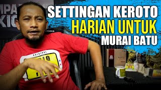 settingan keroto harian MURAI BATU