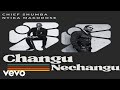 Chief Shumba Hwenje - Changu Nechangu (feat. Nyika Makorose) (Music Visualizer)