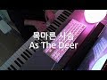 목마른 사슴(As The Deer) - Martin Nystrom - MusikArk [Piano Solo CCM]