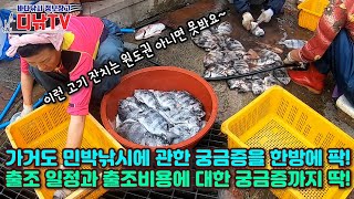 원도권 출조는 돈이 얼마나 들까요? 가거도 민박낚시 출조비용 및 지출 내역 공개 [디낚TV]