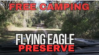 Free Camping at Flying Eagle Preserve Welcome to the wild Florida WMA