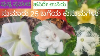 ಹಸಿರೇ ಉಸಿರು /ಸುಮಾರು 25 ಬಗೆಯ ಕುಸುಮಗಳು #gardening #flowersart #flowers #garden