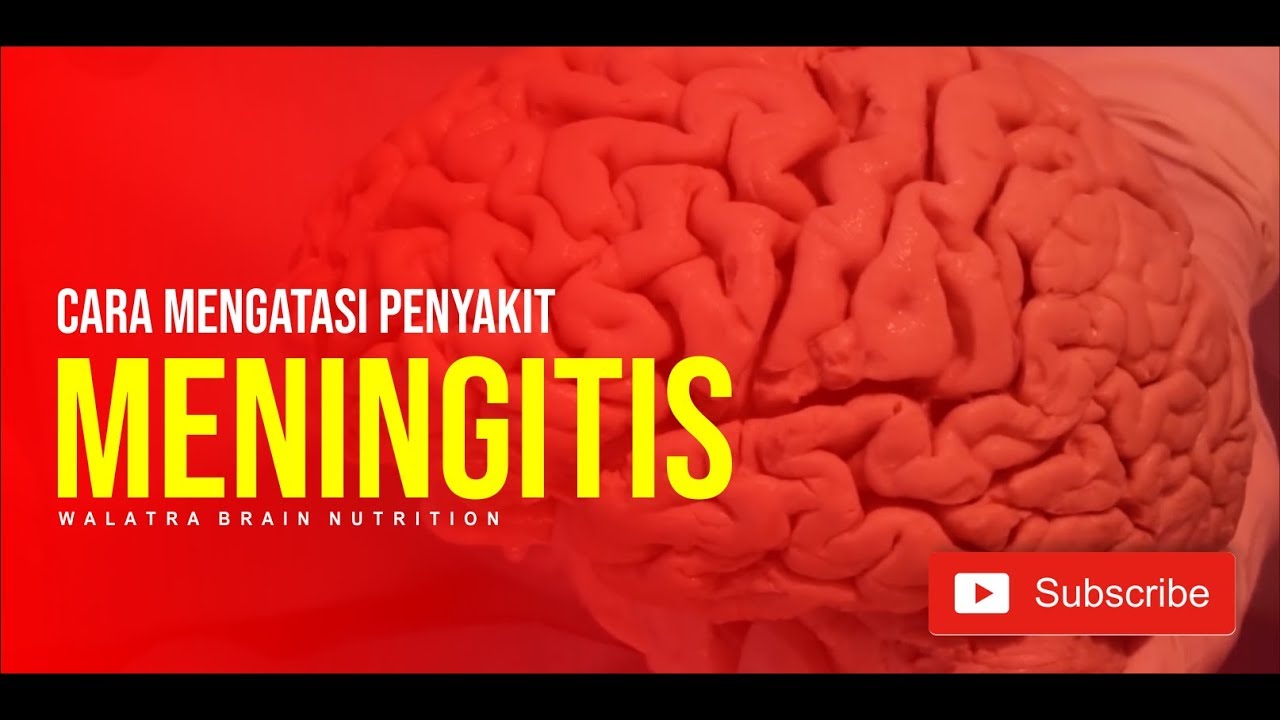 Cara Mengatasi Meningitis Radang Selaput Otak Secara Alami - YouTube