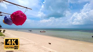 4K Walk in Bang Po Koh Samui 2021 - Virtual walking tour | Streets of Thailand 2021