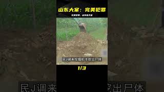 山東大案:被稱為“完美犯罪” #案件 #探案 #懸案 #懸疑 #案件解說