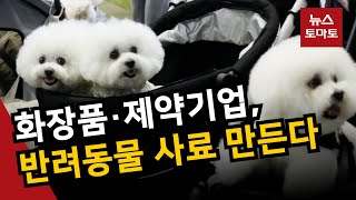 2조 펫푸드 시장 잡아라…신규업체 잇딴 러시