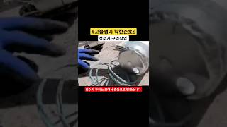 정수기 구리작업 하기#shotrs/모아서 한꺼번에./#정수기 #구리작업#고물쟁이