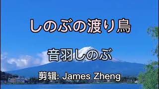 经典日语歌曲【しのぶの渡り鳥】忍之候鸟 演唱：音羽しのぶ 中日文双语歌词