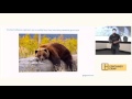 Reproducible Data Science with Docker Containers - Ben Hamner