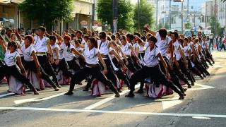 銭形よさこい2017・香川大学よさこい連風華